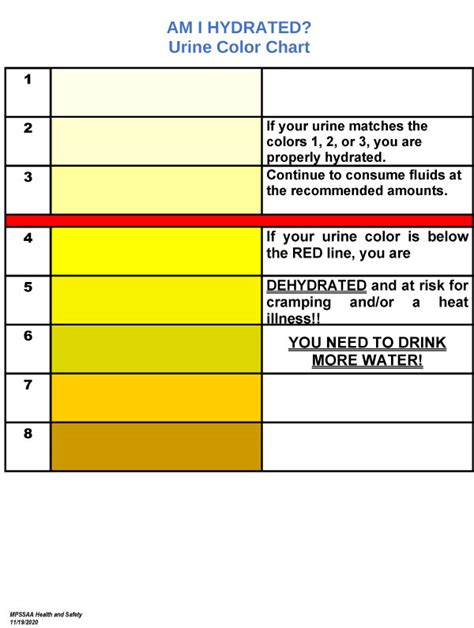 Free Sample Urine Color Chart Templates In Pdf Ms Word Urine Color