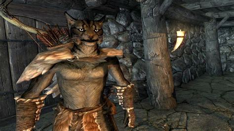 The Best Skyrim Builds For All Races Nords Khajiit Orcs And More Vg