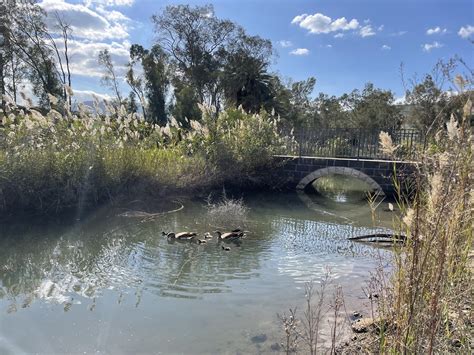 The Jordan River Is Drying Up – See The Heartbreaking Images.