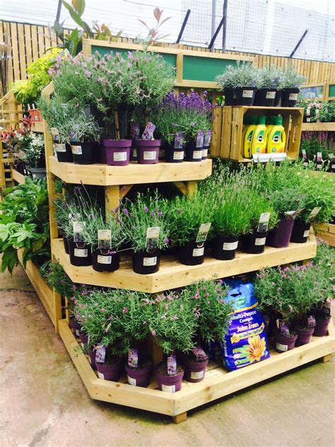 Several Shelves Filled With Potted Plants On Top Of Wooden Pallets In A