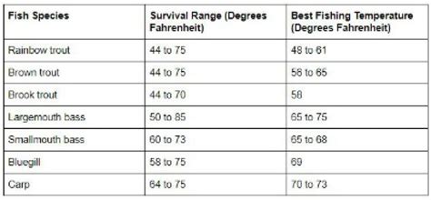 How To Use A Stream Thermometer To Catch More Fish Guide Recommended