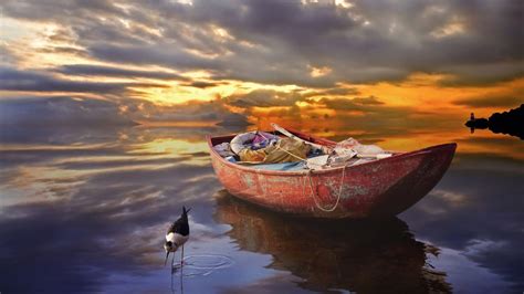 Sunset Sea Boat Bird Wallpaper Hd