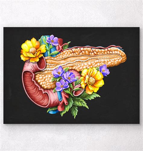 Floral Pancreas Anatomy Art Print Codex Anatomicus
