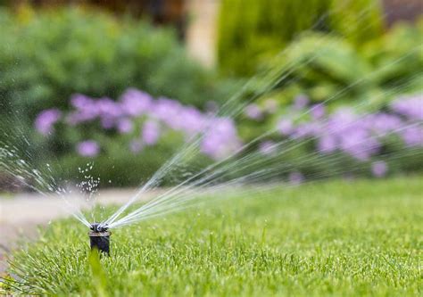 How Sprinkler System Zones Work Best Pick Reports