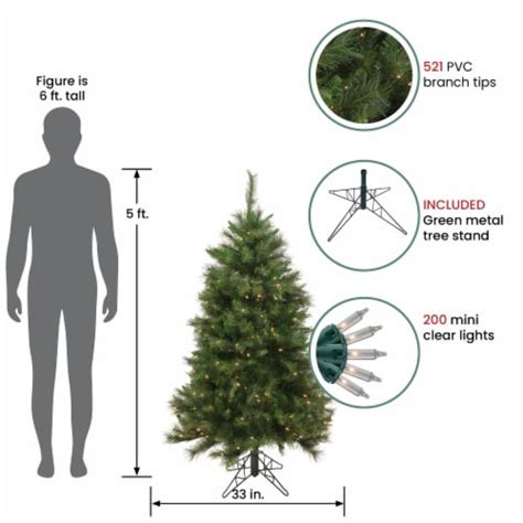Northlight 5 Pre Lit Green Medium Canyon Pine Artificial Christmas