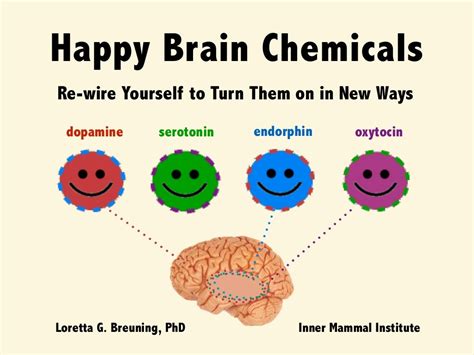 Happy Brain Chemicals Dopamine Serotonin Oxytocin And Endorphin