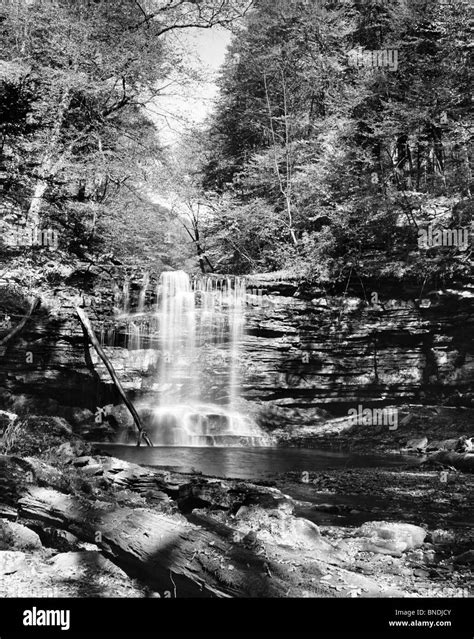 Usa Pennsylvania Ricketts Glen State Park Waterfall Stock Photo Alamy