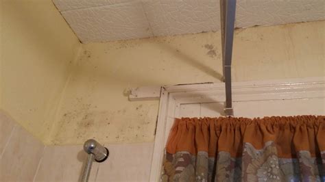 It depends, in a well ventilated building condensation should quickly evaporate. Does external wall insulation prevent damp?