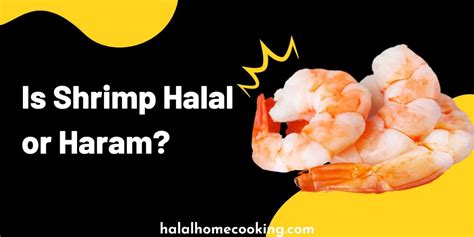 Is Shrimp Halal Or Haram Halal Home Cooking