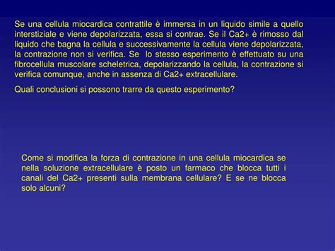 Relazione Tensione Lunghezza Muscolo Cardiaco - PPT - Il Cuore PowerPoint Presentation, free download - ID:5660612