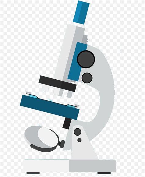 Illustration Vector Graphics Clip Art Image Microscope Png 633x1004px