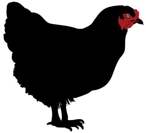Silhouette Chicken At Getdrawings Free Download
