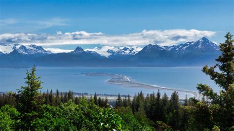 Find a wealth of information to plan your alaska vacation or travel to alaska including transportation in alaska, alaska cruises, hotels, lodges, tours and things to do, fishing, wildlife information, community information and more. About Homer, Alaska - OFishial Charters of Alaska