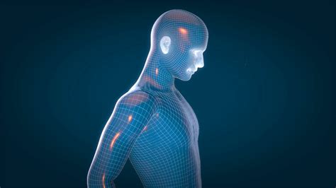 human xray human anatomy facial recognition  animated