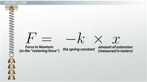 Hookes Law And The Spring Constant Spring Constant Units And Formula