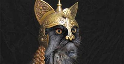 Viking Cat Witticism Pinterest Vikings