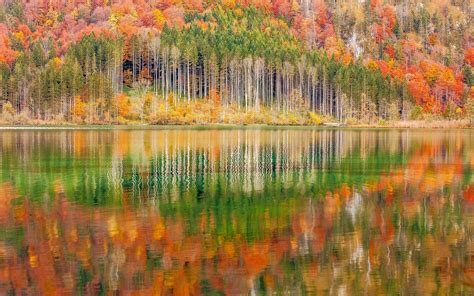 Nature Landscape Mountain Forest Lake Austria Trees Colorful Fall Water Reflection