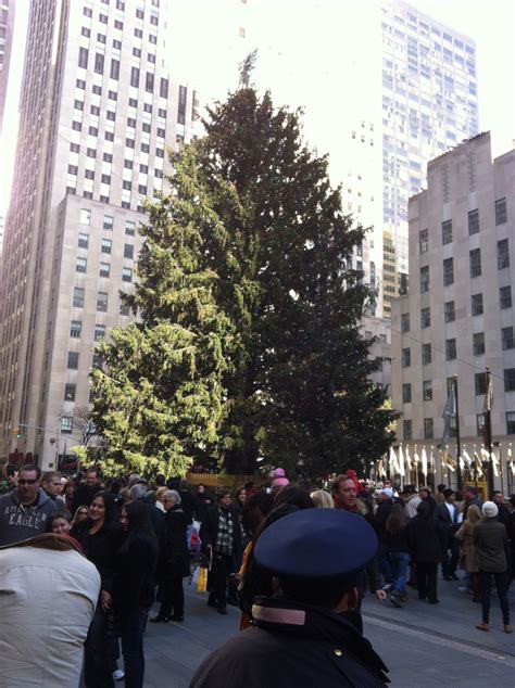 The Christmas Tree At Rockefeller Plaza New York City Street View