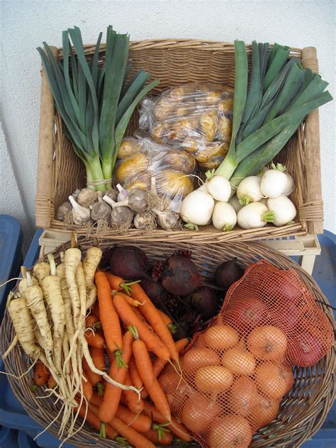 Fall Harvest Baskets Available Throughout November Fiddle Foot Farm
