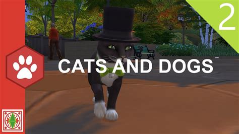 The Sims 4 Cats And Dogs Mayor Whiskers Part 2 Youtube