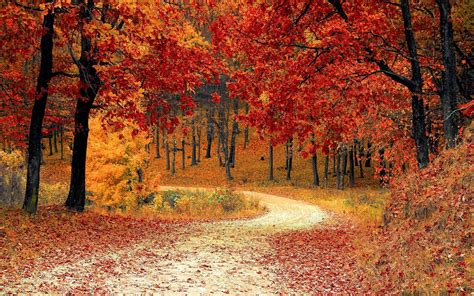 Autumn Macbook Wallpapers Top Free Autumn Macbook Backgrounds