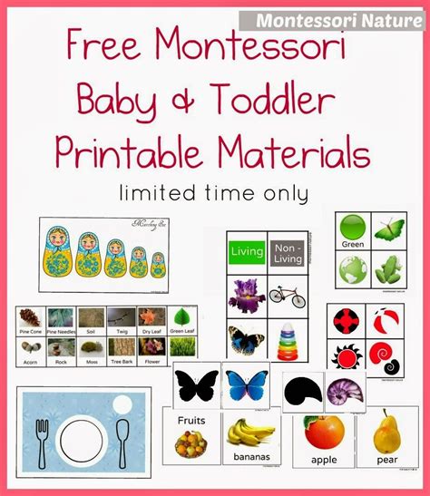 Best Free Montessori Printables