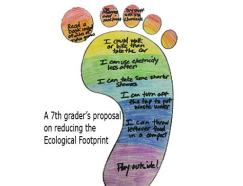 32 Calculate Ecological Footprint Worksheet Support Worksheet