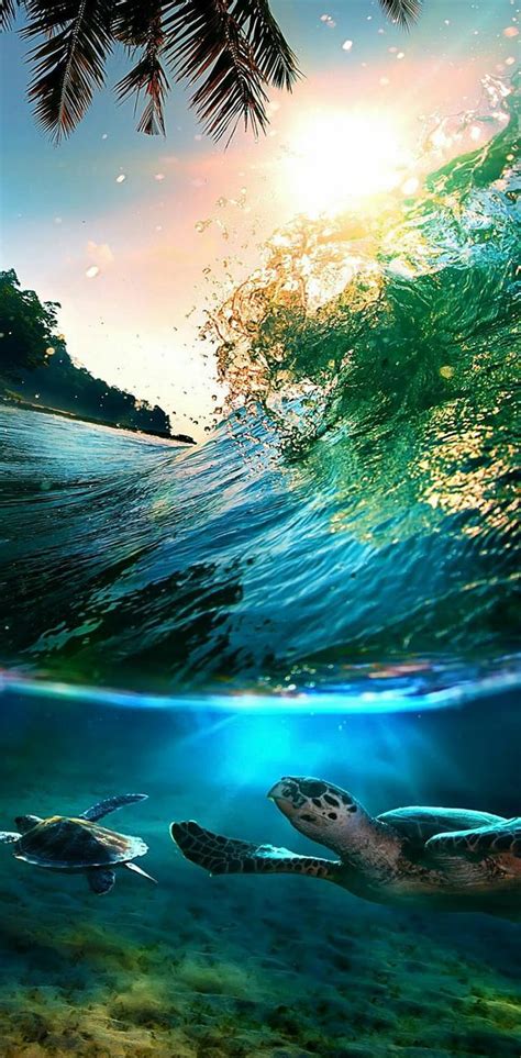under ocean by georgekev inside ocean hd phone wallpaper pxfuel