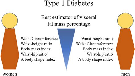 Associations Between Visceral Fat And Anthropometric Measures In Adults Download Scientific
