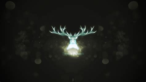 Expecto Patronum Wallpapers Wallpaper Cave