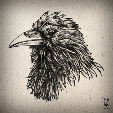 Raven Sketch By Artofevre On Deviantart