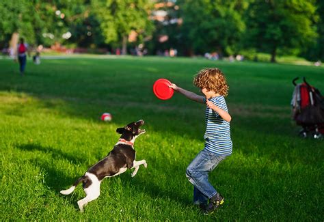6 Fun And Exciting Picnic Games For Kids