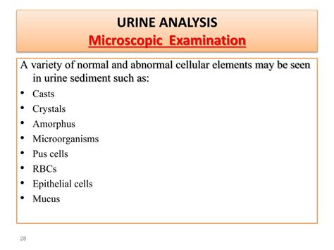 Normal Pus Cells In Urine Test