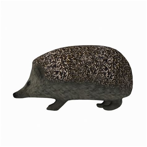 Hedgehog 3d Model