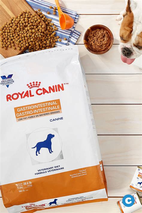 It also helps in maintaining weight while supporting their urinary health. Royal Canin Gastrointestinal Kitten Wet Food
