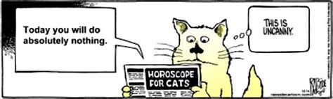 Mystery Fanfare Cartoon Of The Day Cat Horoscope