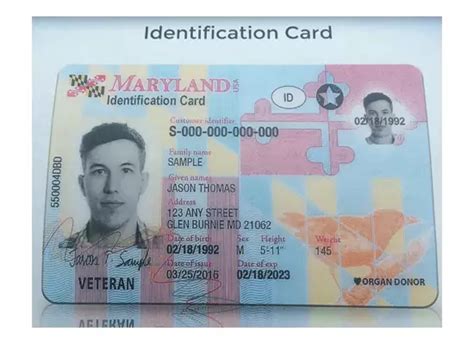 Buy Maryland Id Card Online Global Documents