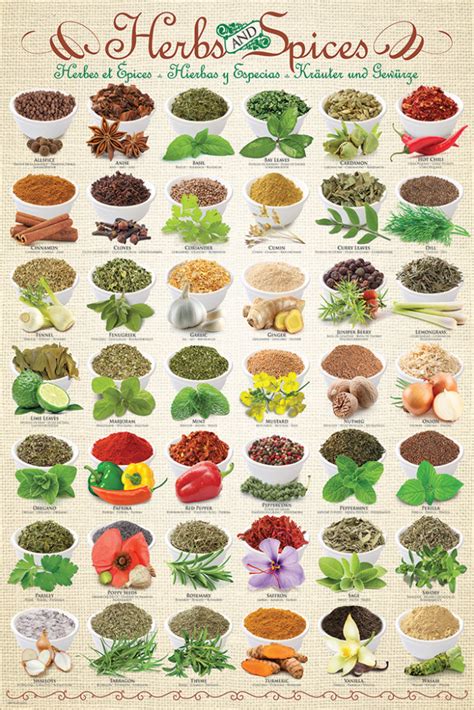 Herbs Spices Athena Posters