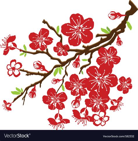 Cherry Blossoms Royalty Free Vector Image Vectorstock