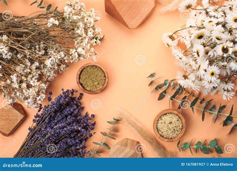 Modern Apothecary Concept Stock Image Image Of Healthcare 167081927
