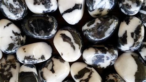 Zebra Jasper (Zebra Stone) - Energy In Balance