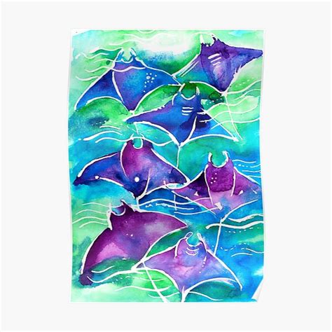 Manta Ray Watercolor Painting Poster By EveiArt Redbubble