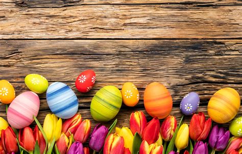 Wallpaper Flowers Eggs Spring Colorful Easter Tulips Wood