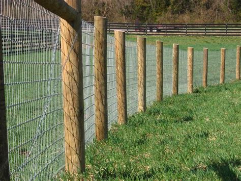 From the need to repaint periodically is time consuming and expensive. wire fencing | View the entire photo gallery for Maryland ...