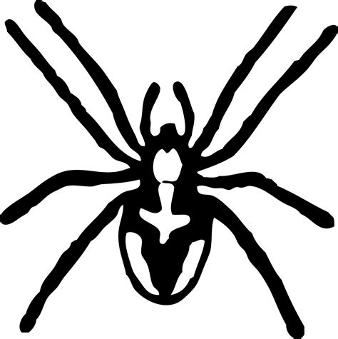 Free Spiders Cliparts Download Free Spiders Cliparts Png Images Free