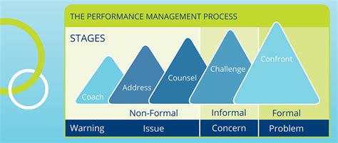 Managing Performance Skills And Capabilities Opic Group