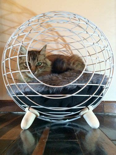10 Homemade Cat Beds Too Cute To Resist Homemade Cat Beds Unique Cat