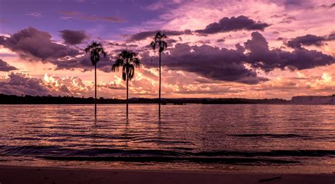 Bay Beach Sunset Palm Trees Wallpapers Hd Desktop