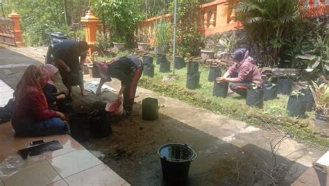 Bercocok Tanam Sayuran Website Resmi Desa Penusupan Kecamatan Sruweng Kabupaten Kebumen
