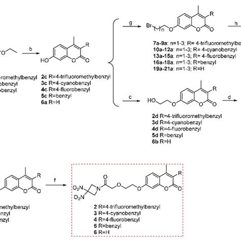 Scheme 2 Synthetic Routes Of Target Compounds 2 21 Reagents And